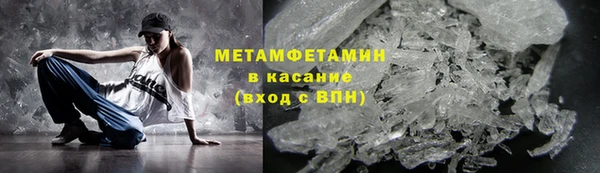 шишки Верея
