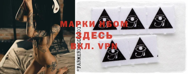 шишки Верея