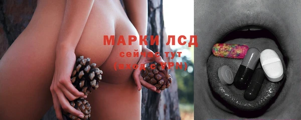 сатива Верхнеуральск