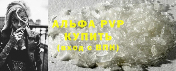 шишки Верея