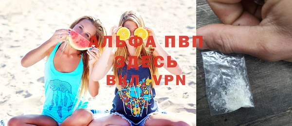 шишки Верея
